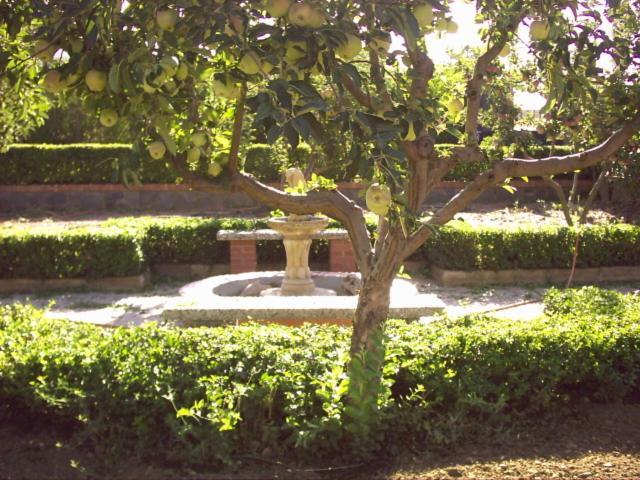 Casa Detres 1 Villa Cogollos de Guadix Екстериор снимка